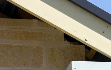 soffit repair Pittulie